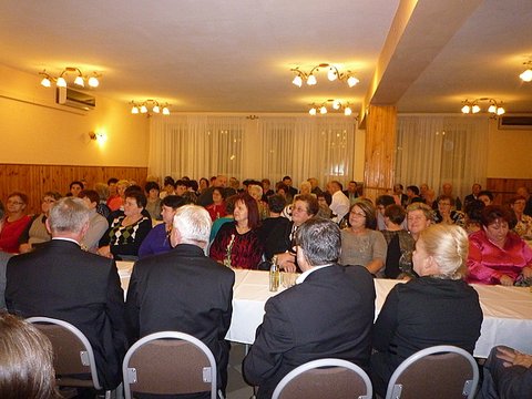 Zdjęcie 14 z albumu Konferencja podsumowujaca projekt współpracy - GOK Niebylec